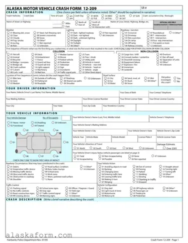 Fill in a Valid 12 209 Alaska Template